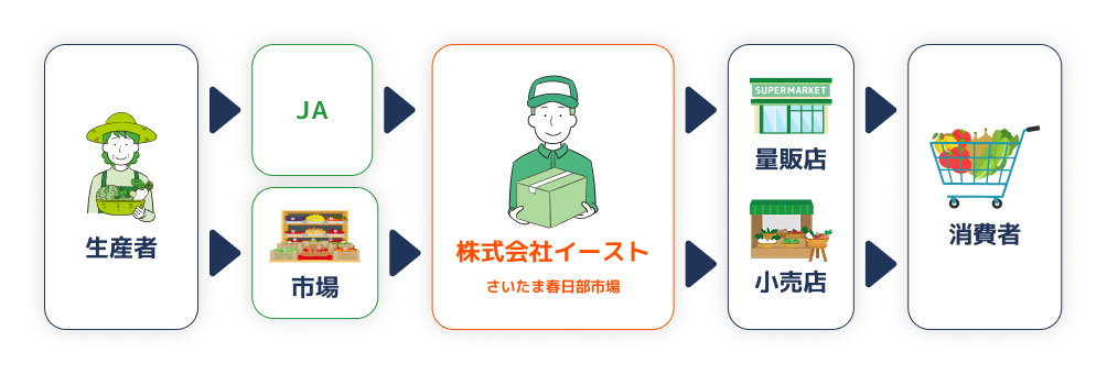生産者からJA、市場、株式会社イーストを経て量販店・小売店、消費者へ届ける流れ